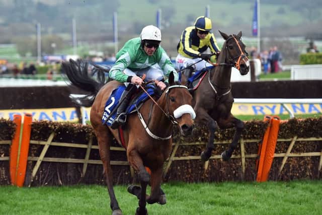 Presenting Percy, who is favourite for the Gold Cup, the blue riband event of the Cheltenham Festival. (PHOTO BY: Glyn Kirk/Getty Images).