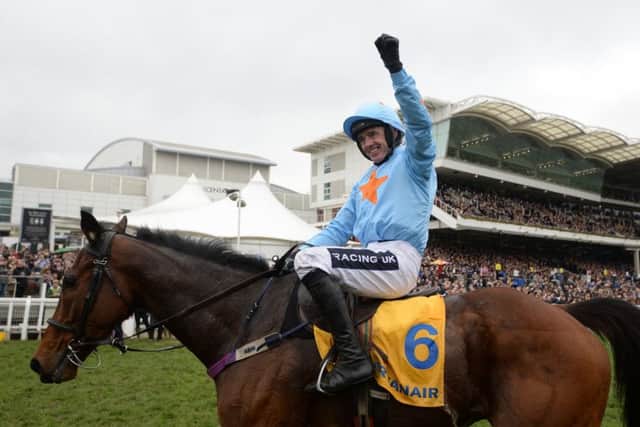 Un De Sceaux, a Cheltenham Festival warrior who has enjoyed a remarkably consistent career. (PHOTO BY: Harry Trump/Getty Images).
