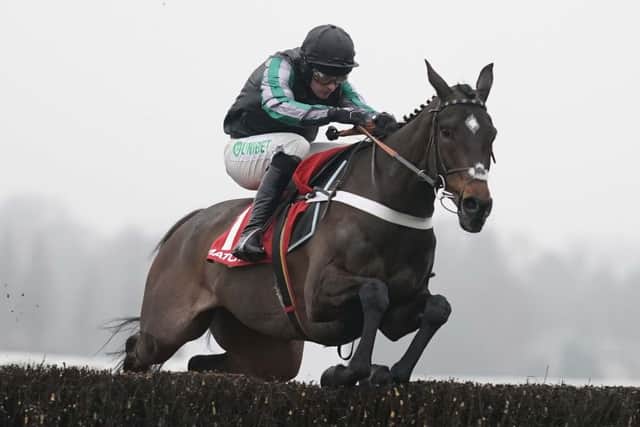 Altior, superstar chaser, who is on the brink of setting a world record at this week's Cheltenham Festival (PHOTO BY: Alan Crowhurst/Getty Images).
