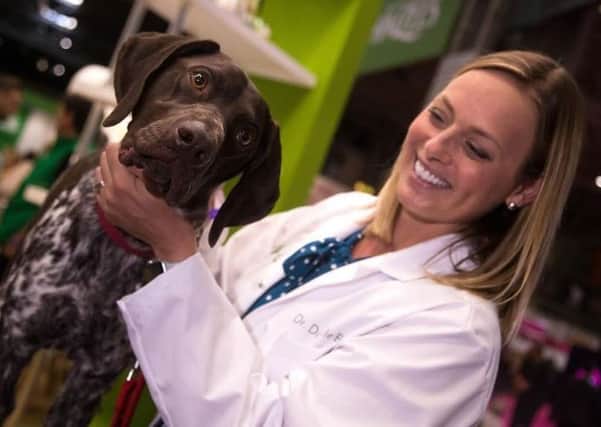 Being checked by global vet Dr. Danielle Bernal from WHIMZEES daily dental chews.