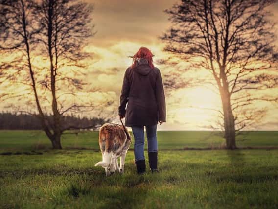 A man sexually exposed himself to a woman walking her dog in a Derbyshire park. Stock image.