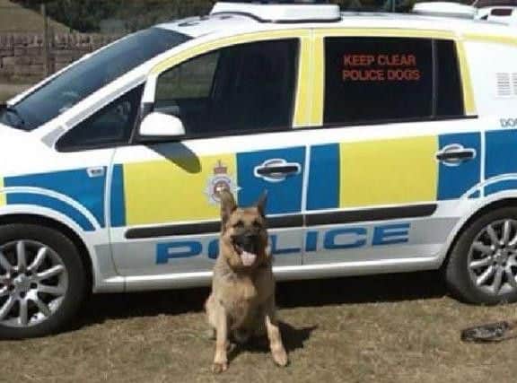 Police dog.