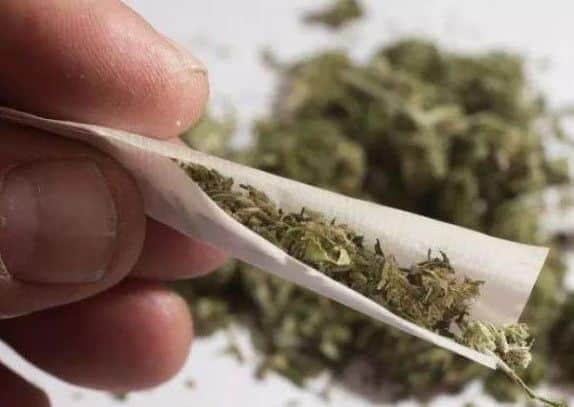 Cannabis.