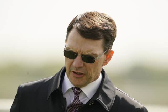 Master trainer Aidan O'Brien, who saddles more than half the field in Saturday's Investec Derby as he seeks his seventh victory in the race. (PHOTO BY: Alan Crowhurst/Getty Images)