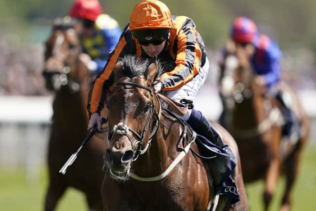 Telecaster, the strongest fancy of the UK-trained runners, after this eyecatching victory in the Dante Stakes at York. (PHOTO BY: Alan Crowhurst/Getty Images).