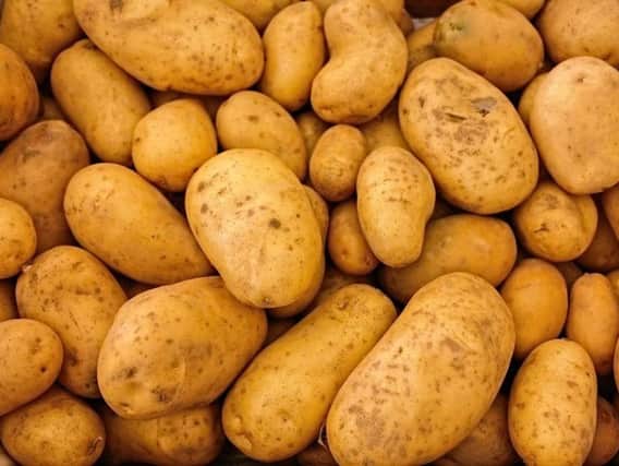 Transition Chesterfield has organised Potato Day in Chesterfield for the last 11 years.