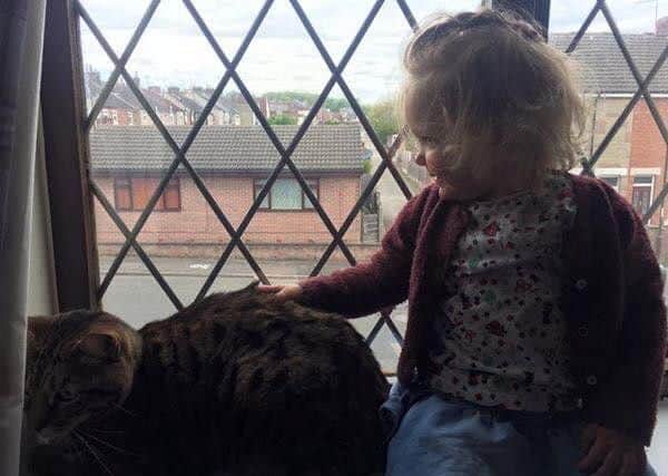 Tigger with three-year-old  Amelia.