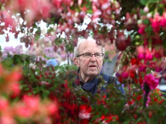 A visitor takes in the stunning display of fuchisias in the Floral Marquee.