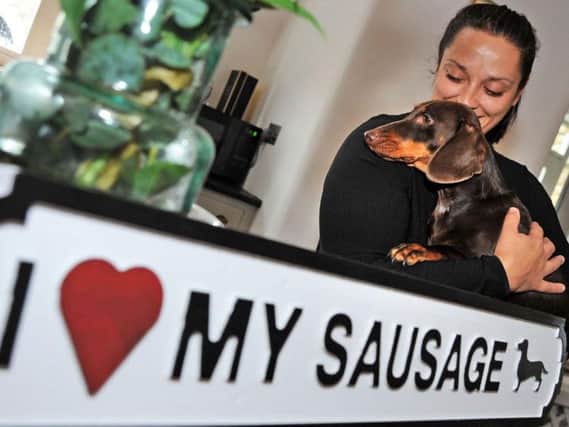 Hannah Stuchfield has opened a boutique hotel for sausage dogs.