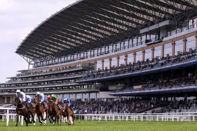 Racing against the backdrop of Ascot's spectacular main stand (PHOTO BY: Justin Setterfield/Getty Images)