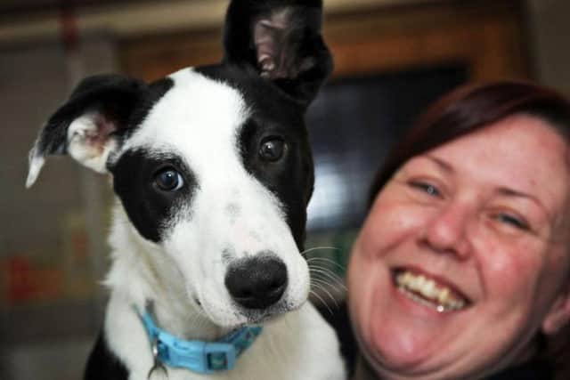 Max, a five-month-old Colly/cross, with engagement officer Steph McCawley.