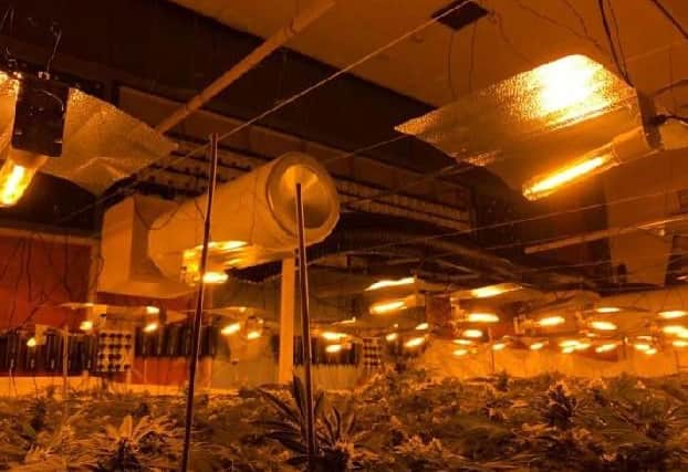 Its going to stink. Especially in the last couple of weeks before harvest. If you dont know what cannabis smells like, its quite sweet and a bit like tomato plants on a hot day.