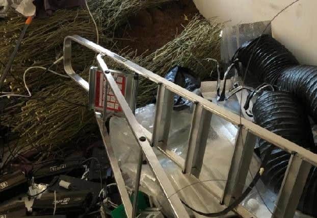 People might bring lots of building, lighting and ventilation equipment into the venue. Plywood is used to separate different growing rooms.