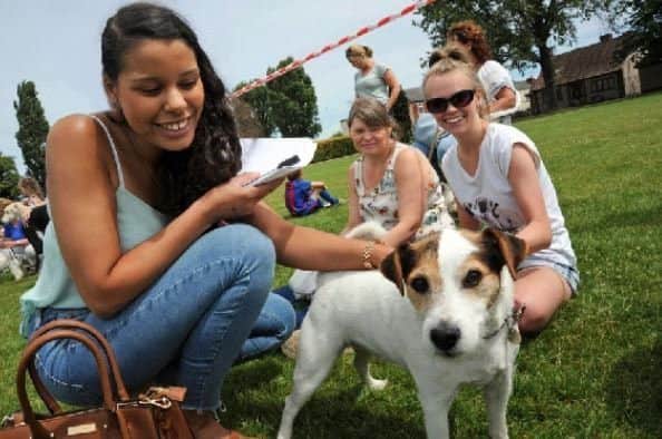 Rebecca Loew-Morgan, a vet at the Riverside practice in Belper, and a judge at the RSPCA's Fun Dog Show, takes a look at Jack Russell, Archie, to see if he is the dog she would 'most want to take home' at the 2018 Dog Show.