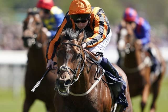 Telecaster, pictured winning at York this season, is one of Enable's main rivals in the Coral-Eclipse at Sandown on Saturday. (PHOTO BY: Alan Crowhurst/Getty Images)