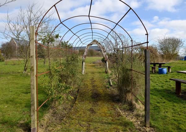 Mastin Moor Community Garden