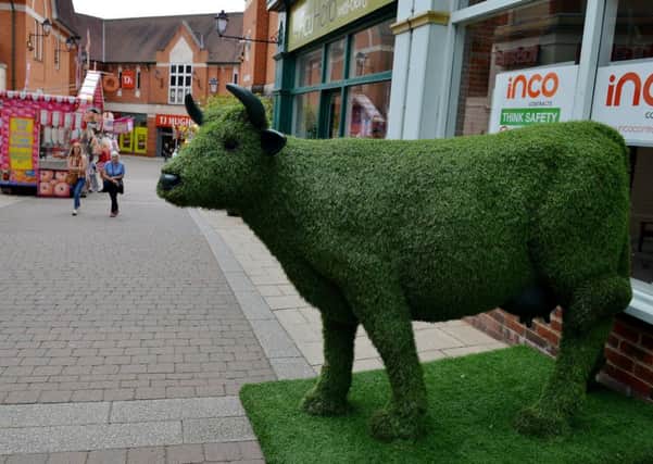 Vicar Lane shopping centre has some floral displays in celebration of Chesterfield In Bloom