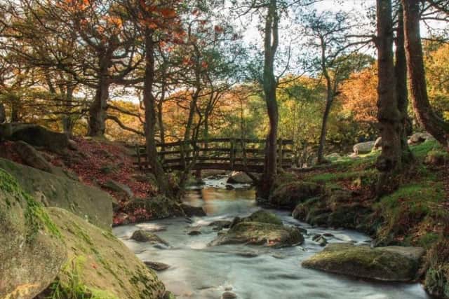Padley Gorge.