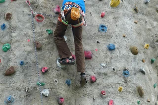 Adrenaline World would include climbing walls.
