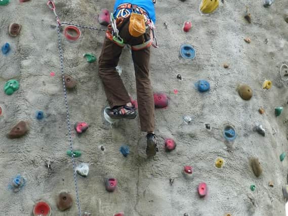 Adrenaline World would include climbing walls.