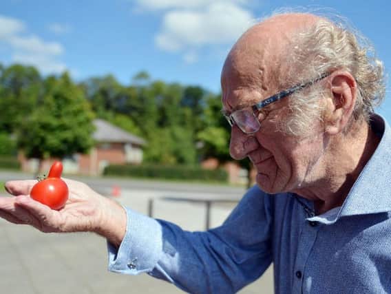 Barry Mellor and his tomato with a nose.