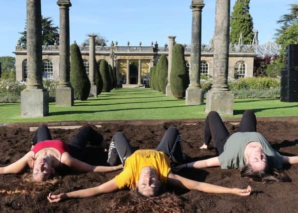 Rehearsals for the dance piece Rodadoras which is performed in a bed of compost