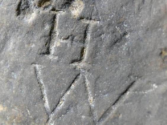 The markings.