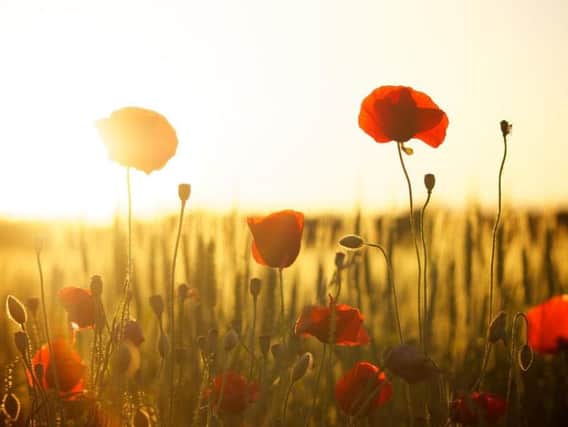 At the going down of the sun and in the morning, we will remember them.
