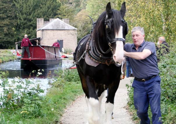 Horse Power - The Friends of Cromford Canal use a shire horse to pull a narrow boat from Cromford Wharf to High Peak Junction.