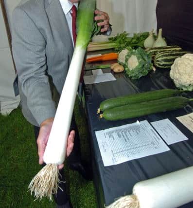 Bakewell show 2013. Veg judge Ray Bassett with the class 89 vegatables.