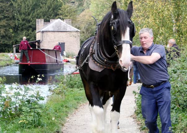 Horse Power - The Friends of Cromford Canal use a shire horse to pull a narrow boat from Cromford Wharf to High Peak Junction.