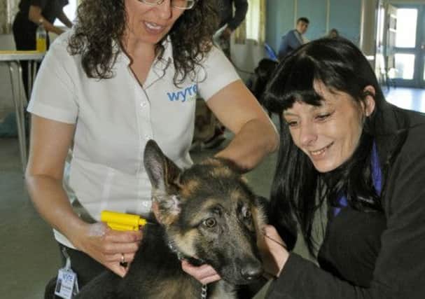 Free dog microchipping day at St David's Church Hall, Larkholme Lane, Fleetwood-organised by Wyre Borough Council and Lancashire Constabulary. Wyre Borough Council Operations Area officer Tina Hinchliffe (left) and Cheryl Smith with her German Shepherd pup "Rocky".