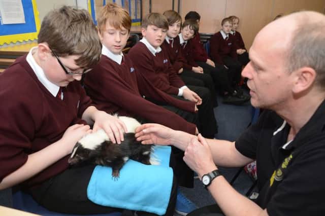 St Thomas More, Science week, exotic animal expert Damian Pearson showing a skunk to pupils