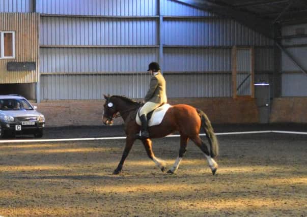 Megan Riley riding Harry in the Prelim class at the recent Chapel & District Riding Club event.