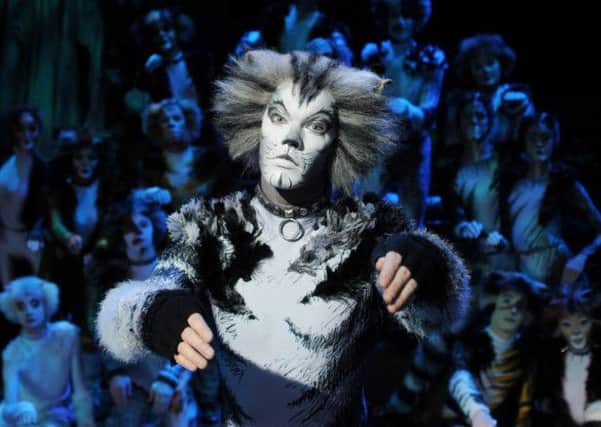 Ben Palmer as Munkustrap in Cats at Nottingham Theatre Royal from April 15 to 26.