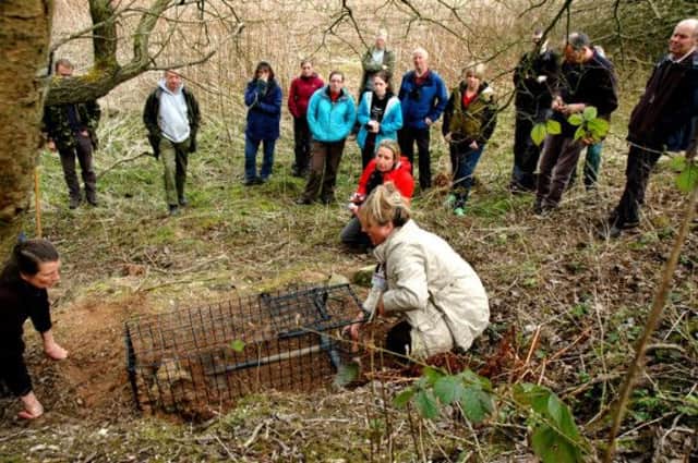 Debbie Bailey showing volunteers how to install traps and then vaccinate captured badgers with a serum to halt the spread of bovine tuberculosis. Photo contributed.