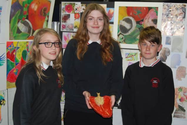 Visitors to Chapel-en-le-Frith High School were able to enjoy a visual feast when the school held its annual Art and Design and Technology Exhibitions.