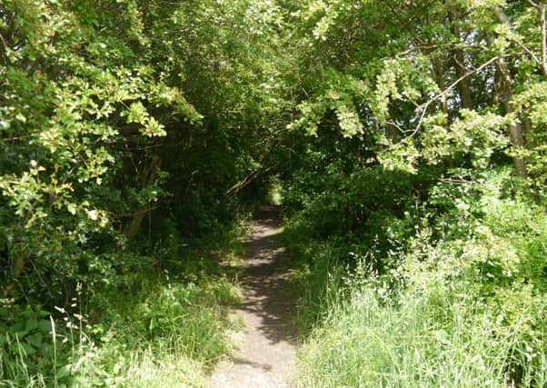 The path near Gorse Valley Road, Hasland, Chesterfield, where the dead body of Alan Carlisle, 27, of Calow Lane, Hasland, Chesterfield, was found.