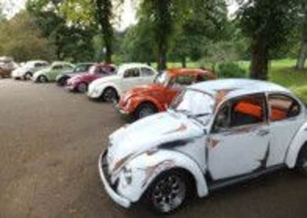 Classic Beetles line up on the promenade during last years V Dub Drive.