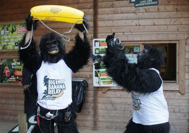 Go Ape staff at Buxton take part in the banana relay for Teenage Cancer Trust. Photo contributed.