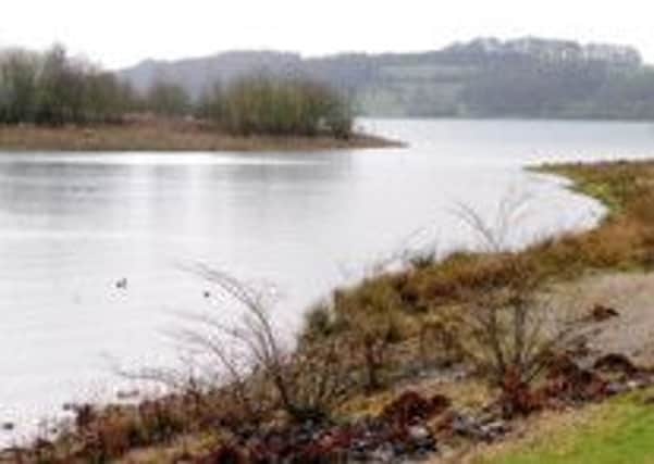 Carsington Water where the rarely spotted Great Norther Diver bird has returned this winter.