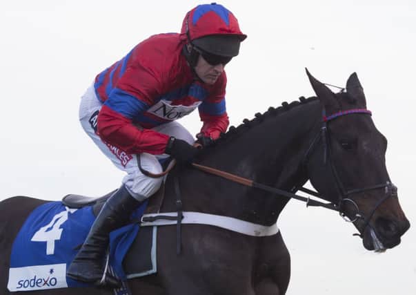 RETURN OF A SUPERSTAR -- Sprinter Sacre in action at Ascot last Saturday (PHOTO BY: Julian Herbert/PA Wire).