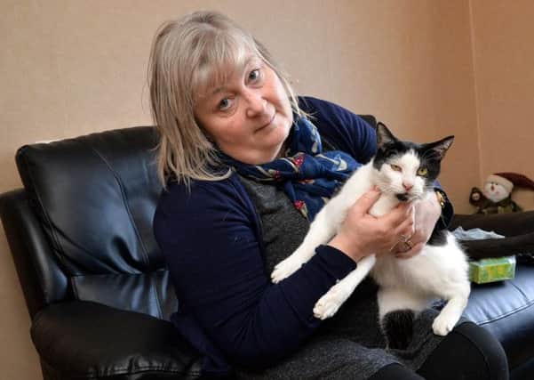 Cath Sykes with her cat Smudge, she is highlighting animal cruelty after her other cat was killed recently