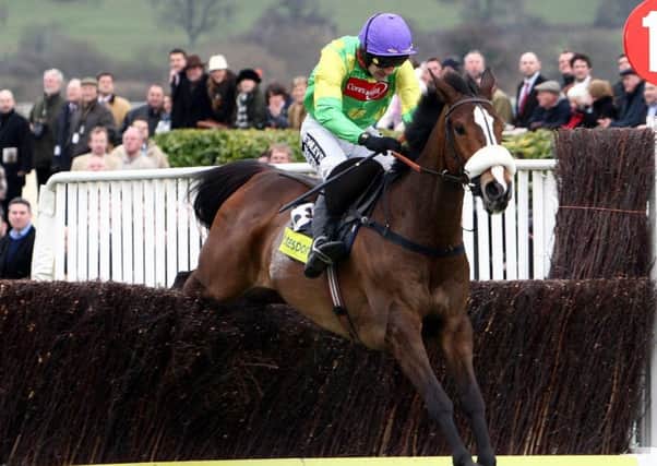 STAR QUALITY -- Kauto Star, ridden by Ruby Walsh, jumps the last en route to victory in the 2009 Totesport Cheltenham Gold Cup (PHOTO BY: David Jones/PA Wire).