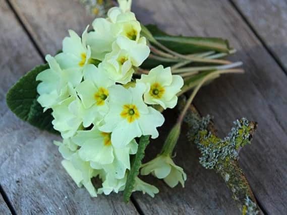 What you getting your mum for Mothering Sunday? Primroses? Or a grand meal out?