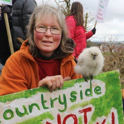 Protestor, Daryl Hedges, with her baby chicken