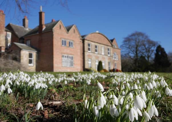 9 Feb 2015.....The first sign of spring as snowdrops appear at Hopton Hall near Wirksworth in the Peak Diostrict. The estate manager Sencer Tallis began clearing and restoring the woodlands and paths on the estate in 1996 and the resulting snowdrops have been attracting visitors ever since.Picture Scott Merrylees SM1007/03e
