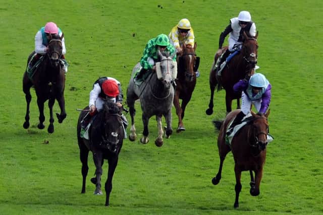 DERBY BOUNTY -- which colt will follow in the footsteps of Golden Horn (pictured left), brilliant winner of last seasons Investec Derby on the Epsom Downs?