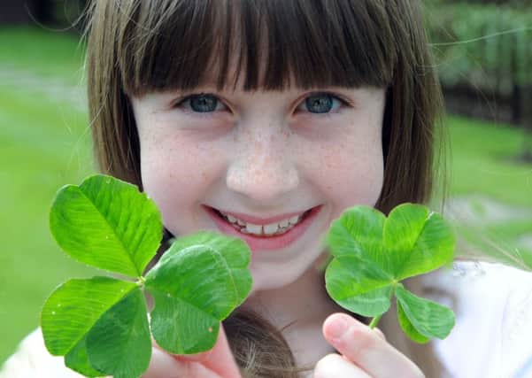 Lucy Stansfield, 9, of Somersall Lane, Chesterfield, with the five leaf clover stems that they have found.