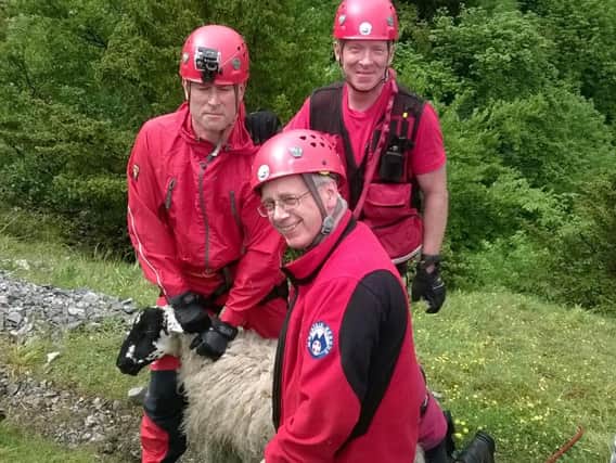 The team with their intrepid sheep - now safely back on flat ground. (Courtesy Buxton MRT)